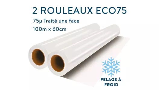 Film DTF Economique 75micro mètre pelage à froid , deux exemplaires